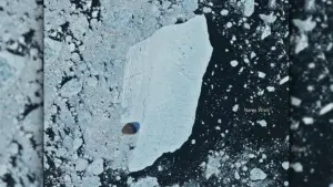 massive-ice-island-breaks-from-greenlands-petermann-glacier-in-largest-arctic-calving-event-since-2020