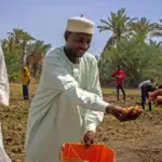 solar-powered-boreholes-and-fao-support-bring-resilience-to-farmers-in-chads-lac-province