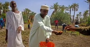 solar-powered-boreholes-and-fao-support-bring-resilience-to-farmers-in-chads-lac-province