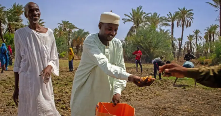 solar-powered-boreholes-and-fao-support-bring-resilience-to-farmers-in-chads-lac-province